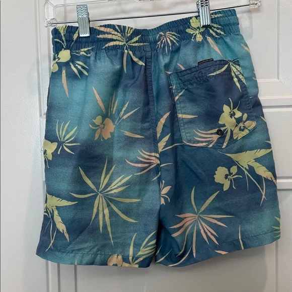 Quiksilver Tropical Blue and Tan swim trunks - Picture 4 of 5